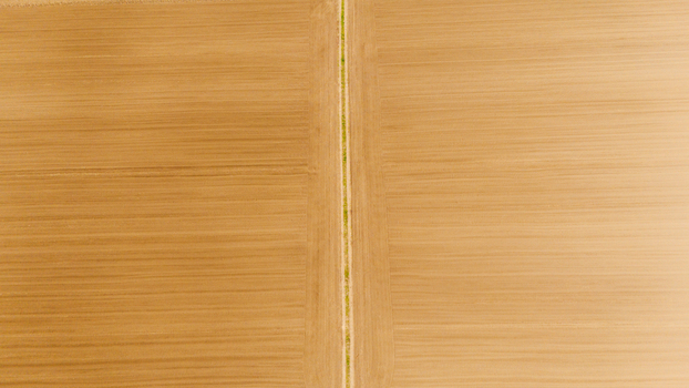Aerial view of a dirt road cutting through golden fields creating a stark contrast between the natural textures and the man made path Sremska Mitrovica Vojvodina Serbia. Aerial view of a dirt road cutting through golden fields creating a stark contrast between the natural textures and the man made path Sremska Mitrovica Vojvodina Serbia.