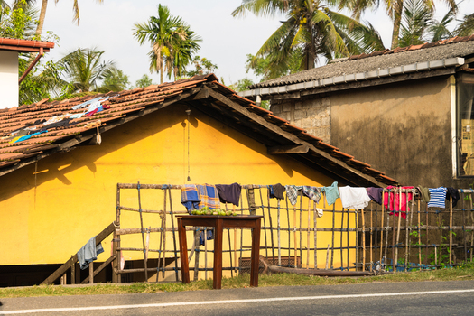 View of a traditional yellow house with a tiled roof and laundry drying on a wooden fence under palm trees Galle Southern Province Sri Lanka.