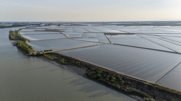 Aerial view of the flooded rice fields of Isla Minima along the riverbank with geometric patterns under a clear sky Sevilla Andalucia Spain. Aerial view of the flooded rice fields of Isla Minima along the riverbank with geometric patterns under a clear sky Sevilla Andalucia Spain.
