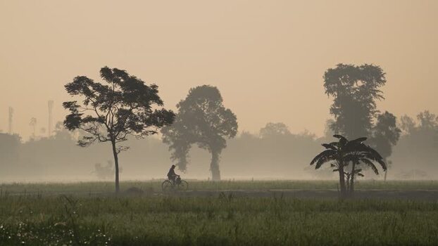 View of a cyclist riding through misty fields in Bogura Bangladesh.