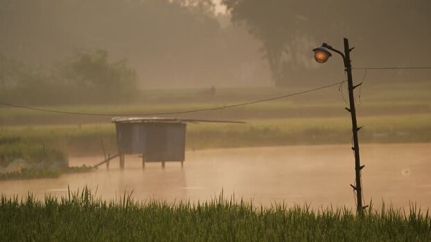 View of a misty rural landscape at dawn Bangladesh.