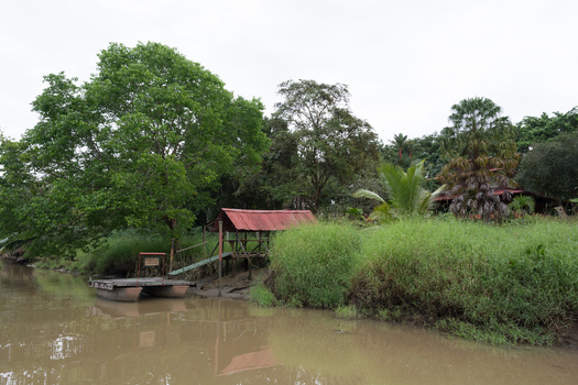 View of the Sierpe River with a wooden dock and a small shelter surrounded by lush tropical vegetation in Puntarenas Province Costa Rica. View of the Sierpe River with a wooden dock and a small shelter surrounded by lush tropical vegetation in Puntarenas Province Costa Rica.
