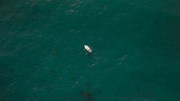 Aerial view of a small boat near La Jolla Cove United States.