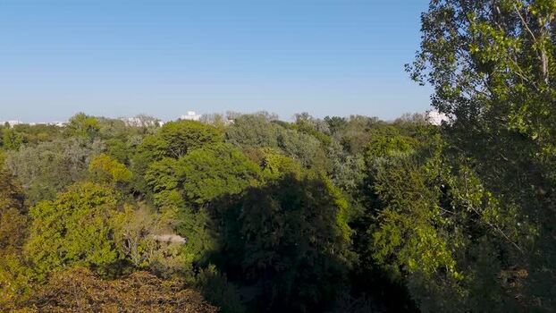 Aerial view of church towers over trees Poland. Aerial view of church towers over trees Poland.
