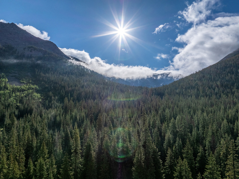 View of a dense evergreen forest valley under a bright sun with mountain peaks and white clouds Colorado United States.