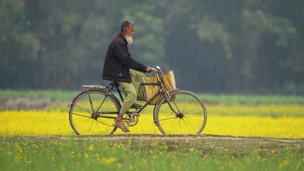 View of a man riding a bicycle past yellow fields in Bangladesh.