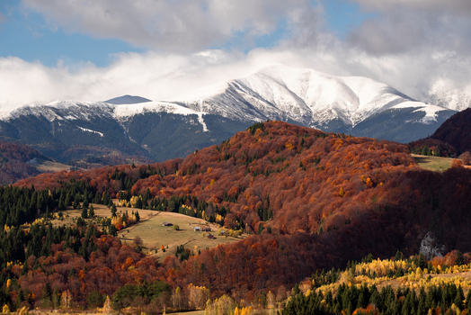 View of the autumn landscape with vibrant foliage and snow capped mountains in the background near the village of Pestera Brasov Romania. View of the autumn landscape with vibrant foliage and snow capped mountains in the background near the village of Pestera Brasov Romania.