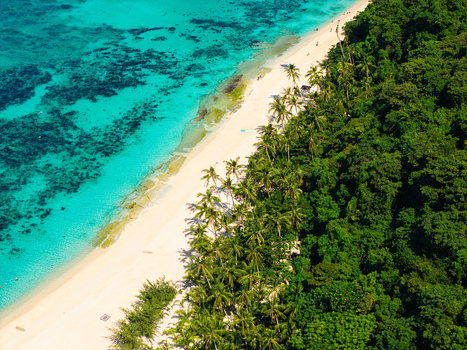 Aerial view of Puka Shell Beach featuring turquoise waters white sand and lush palm trees along the coastline in Western Visayas Philippines.