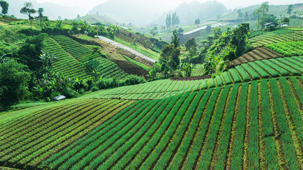 Aerial view of lush green terraced agricultural fields and vegetable crops on a hillside under a misty sky in Sukabumi West Java Indonesia. Aerial view of lush green terraced agricultural fields and vegetable crops on a hillside under a misty sky in Sukabumi West Java Indonesia.