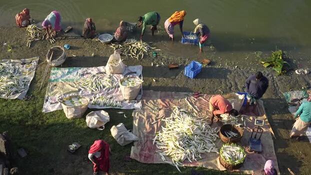 View of people sorting vegetables at a riverside market Bangladesh. View of people sorting vegetables at a riverside market Bangladesh.