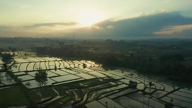 Aerial view of terraced rice fields at sunrise in Bali Indonesia. Aerial view of terraced rice fields at sunrise in Bali Indonesia.