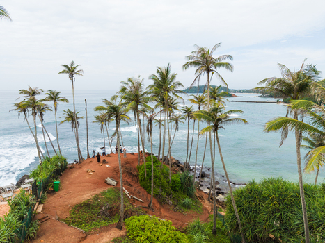 Aerial view of Coconut Tree Hill with tall palm trees on a red earth cliff overlooking the ocean waves in Mirissa Southern Province Sri Lanka. Aerial view of Coconut Tree Hill with tall palm trees on a red earth cliff overlooking the ocean waves in Mirissa Southern Province Sri Lanka.