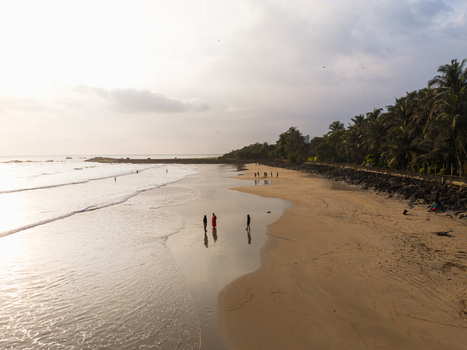 Aerial view of people walking on a sandy beach lined with lush palm trees and gentle ocean waves under a soft sky in Galle Southern Province Sri Lanka.