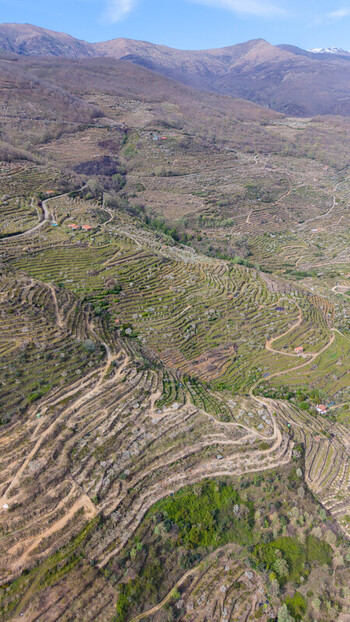 Aerial view of rugged terraced slopes cascade towards a valley under a vast sky revealing the raw beauty of the landscape Cabezuela del Valle Extremadura Spain.