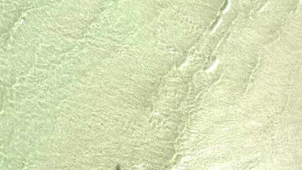 Aerial view of boats on the water Mozambique.