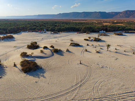 Aerial view of the vast expanse of sandy terrain meets the dense green forest under a clear sky Aomak campsite Socotra Yemen.