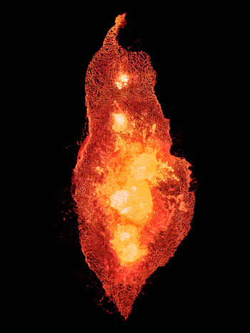Aerial view of a glowing volcanic eruption with molten lava flowing from a crater in Iceland. Aerial view of a glowing volcanic eruption with molten lava flowing from a crater in Iceland.
