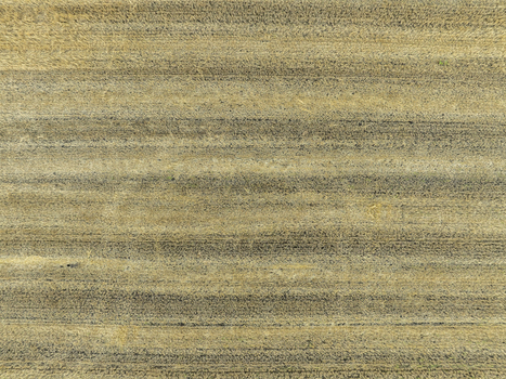 Aerial view of a harvested wheat field with visible tractor tracks and golden stubble in the rural landscape of Ottenhofen Bayern Germany.