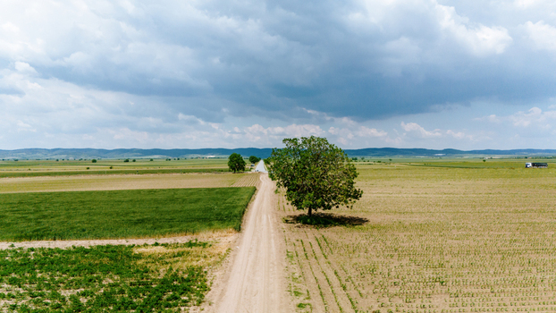 Aerial view of a dirt road stretching through vast agricultural fields with a solitary tree under a cloudy sky in Novi Sad Vojvodina Serbia. Aerial view of a dirt road stretching through vast agricultural fields with a solitary tree under a cloudy sky in Novi Sad Vojvodina Serbia.
