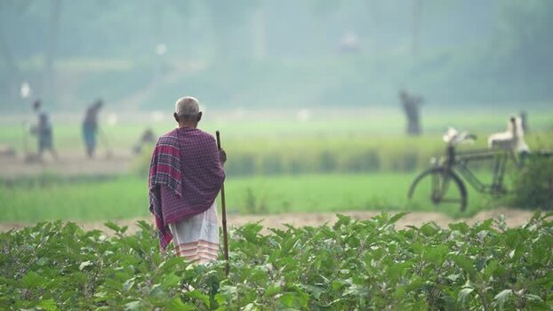 View of an elderly man standing in a rural field Bangladesh. View of an elderly man standing in a rural field Bangladesh.