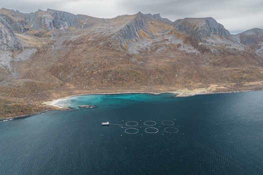 Aerial view of a salmon fish farm with circular pens in a turquoise bay surrounded by rugged mountains in Senja Troms Norway.