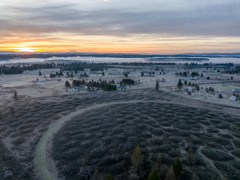 Aerial view of Mima Mounds Natural Area Preserve with unique earth formations and frost covered vegetation under a golden sunrise sky in Olympia Washington United States.