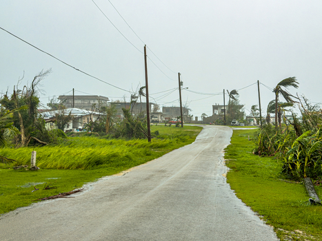 San Jose Tinian Northern Mariana Islands 06 July 2026 View of the aftermath of Super Typhoon Bavi showing damaged vegetation bent trees and debris along a wet road. San Jose Tinian Northern Mariana Islands 06 July 2026 View of the aftermath of Super Typhoon Bavi showing damaged vegetation bent trees and debris along a wet road.