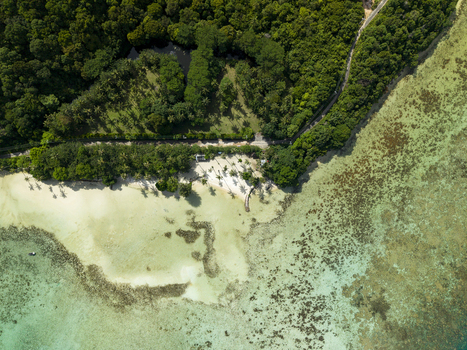 Aerial view of the contrasting turquoise waters meeting the lush green coastline at Bobby Beach Karimunjawa Central Java Indonesia.