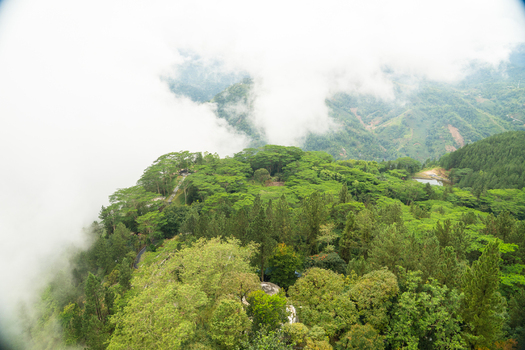 View of lush green forest and misty mountain peaks under a bright sky in Gampola Central Province Sri Lanka. View of lush green forest and misty mountain peaks under a bright sky in Gampola Central Province Sri Lanka.