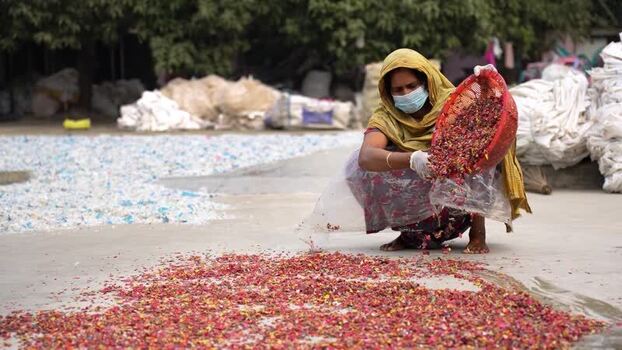View of a woman processing dried petals in Bogura Bangladesh. View of a woman processing dried petals in Bogura Bangladesh.