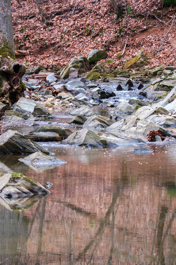 View of rocky creek with fallen leaves water flowing over rocks reflecting bare trees in winter Scott s Run Nature Preserve Scott s Run Virginia United States. View of rocky creek with fallen leaves water flowing over rocks reflecting bare trees in winter Scott s Run Nature Preserve Scott s Run Virginia United States.
