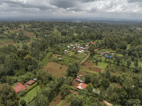 Aerial view of small houses with red roofs scattered among verdant trees and cultivated fields under a cloudy sky Kisii Kenya. Aerial view of small houses with red roofs scattered among verdant trees and cultivated fields under a cloudy sky Kisii Kenya.