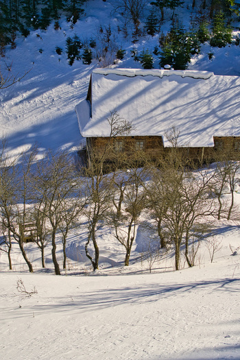 View of a snow dusted wooden barn under the crisp winter sky surrounded by bare trees casting long shadows on the pristine white landscape Moce Slovakia.