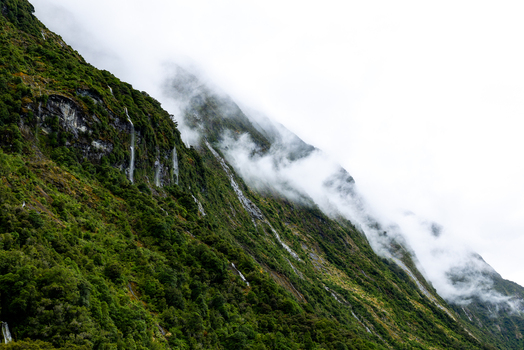 View of verdant mountainsides draped in ethereal white clouds with delicate waterfalls cascading down the steep slopes Milford Sound Southland Region New Zealand.