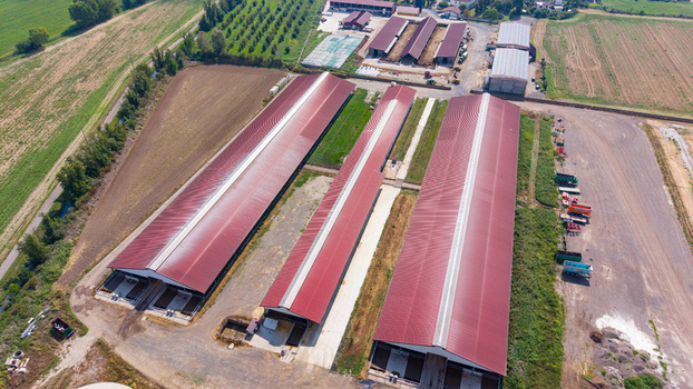 Aerial view of a cattle and dairy farm with large red roofed barns agricultural fields and farm equipment in San Giuliano Milanese Lombardy Italy. Aerial view of a cattle and dairy farm with large red roofed barns agricultural fields and farm equipment in San Giuliano Milanese Lombardy Italy.