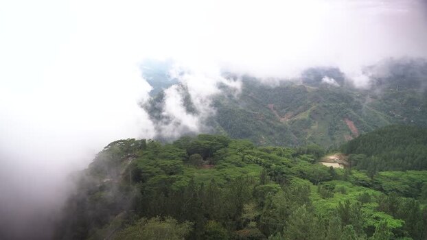 View of misty green hills and dense forest Sri Lanka.