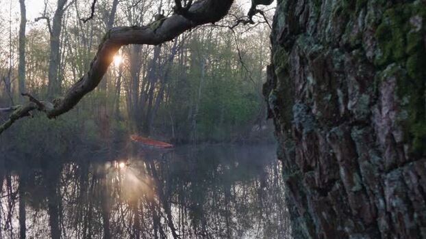 View of Gunnebo kulturreservat at sunrise Sweden.