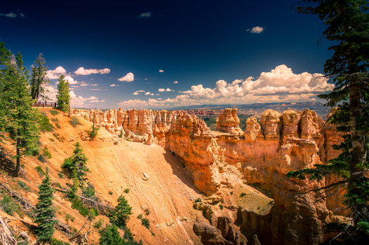 View of Bryce Canyon National Park featuring orange hoodoos pine trees and a deep blue sky Utah United States.