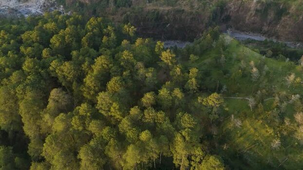 Aerial view of lush forest landscape in Kemalang Indonesia.