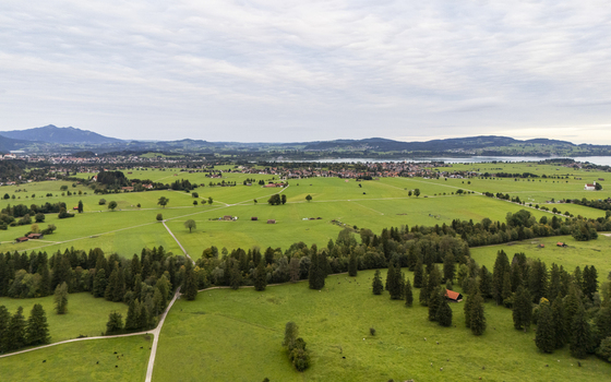 Aerial view of verdant fields meet distant mountains under a vast sky a serene tapestry woven with nature s hues Neuschwanstein Bayern Germany. Aerial view of verdant fields meet distant mountains under a vast sky a serene tapestry woven with nature s hues Neuschwanstein Bayern Germany.