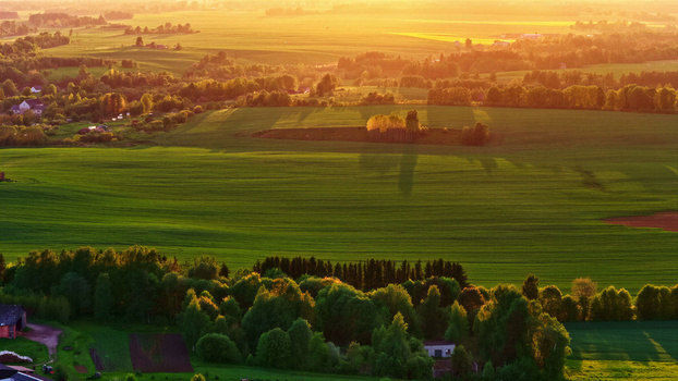 Aerial view of lush green fields and dense forests illuminated by the warm golden hour light in the countryside of Latvija. Aerial view of lush green fields and dense forests illuminated by the warm golden hour light in the countryside of Latvija.
