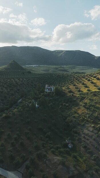 Aerial view of a white house on a hillside with olive groves Spain.