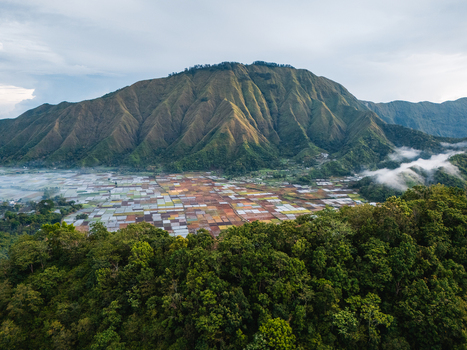 Aerial view of the Sembalun agricultural basin with its patchwork of fields nestled at the foothills of Mount Rinjani in Sembalun West Nusa Tenggara Indonesia. Aerial view of the Sembalun agricultural basin with its patchwork of fields nestled at the foothills of Mount Rinjani in Sembalun West Nusa Tenggara Indonesia.