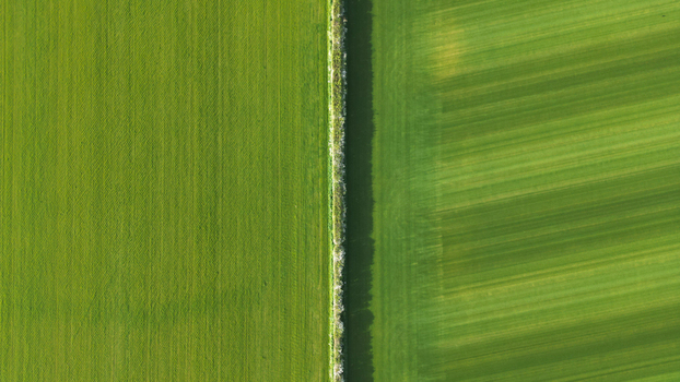 Aerial view of field patterns with contrasting green textures and a central hedgerow in the United Kingdom.
