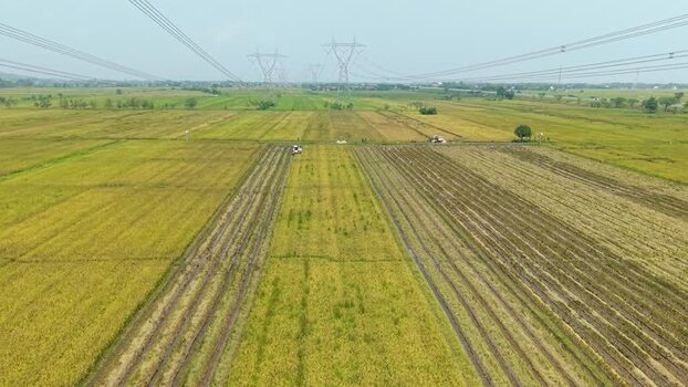 Aerial view of rice fields and pylons Indonesia.