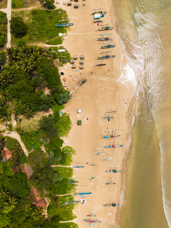 Aerial view of traditional outrigger fishing boats lined up on the sandy shore next to lush palm trees and tropical greenery in Weligama Southern Province Sri Lanka.