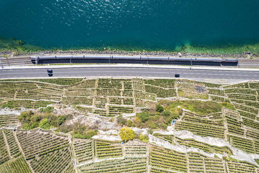 Aerial view of the terraced vineyards of Vignoble du Lavaux with a train passing along the tracks next to the road and the blue waters of Lake Geneva in Rivaz Vaud Switzerland.