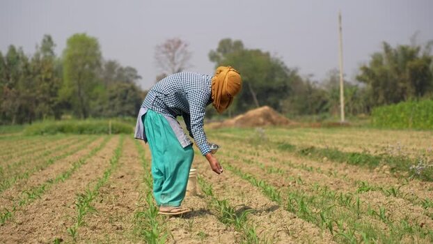 View of a farmer working in a rural field in Dang Nepal.