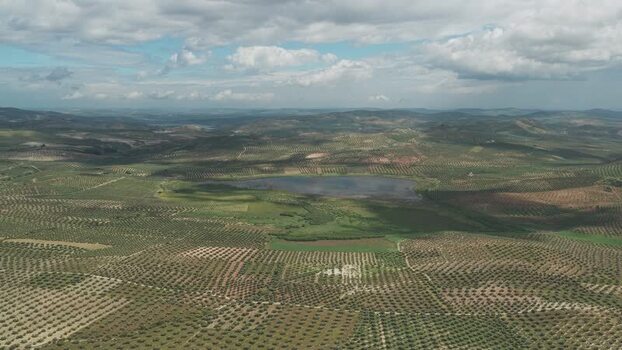 Aerial view of a lake and olive groves Spain. Aerial view of a lake and olive groves Spain.