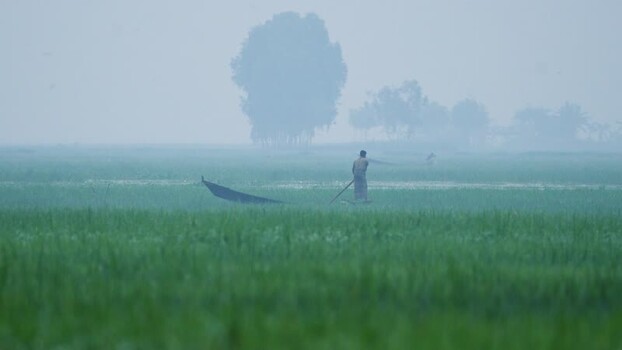 View of a fisherman in a boat on a misty field in Bangladesh.